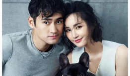 娱乐圈吃瓜爆料三字明星,揭秘明星背后的故事